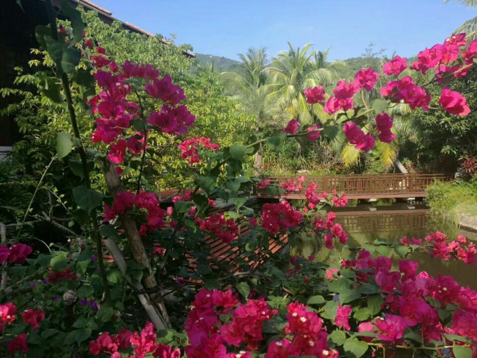 Stony Brook Villa Jianguo Resort Sanya Eksteriør bilde