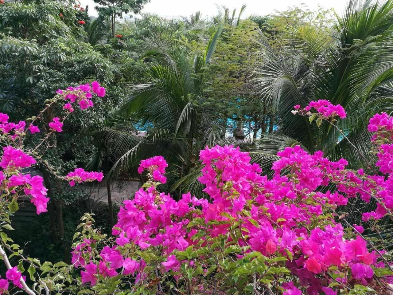 Stony Brook Villa Jianguo Resort Sanya Eksteriør bilde